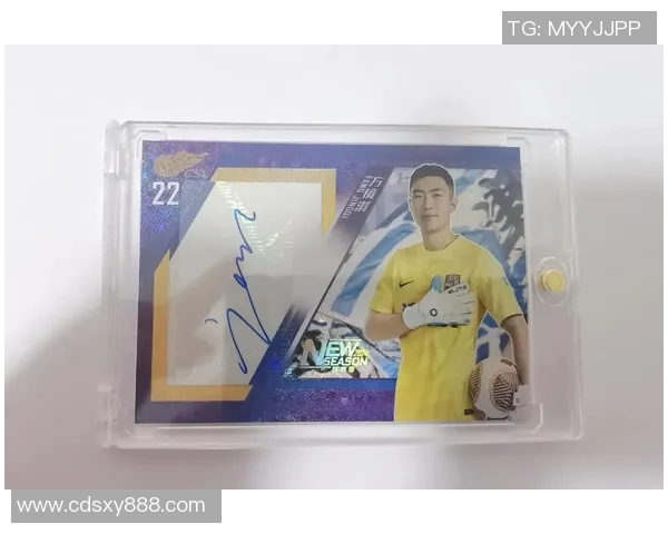 刺客球星卡足球收藏价值与未来发展趋势深度解析