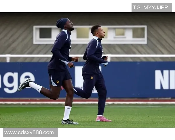 法国足球明星排名榜揭秘 球员实力与成就一览