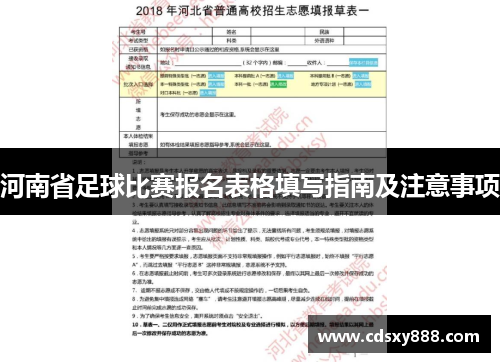 河南省足球比赛报名表格填写指南及注意事项